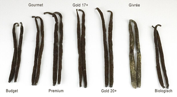 100gr GIVREE gekristalliseerde vanillestokjes madagaskar